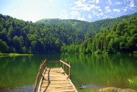 /album/turlarimiz/ayder-3-jpg/